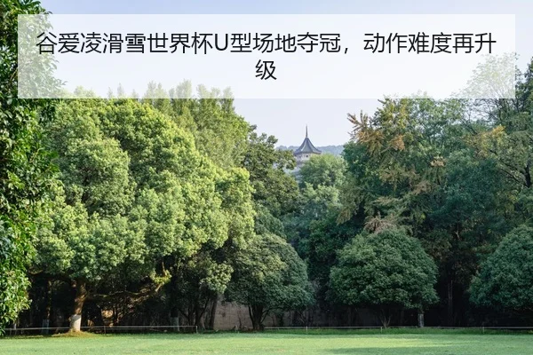谷爱凌滑雪世界杯U型场地夺冠，动作难度再升级