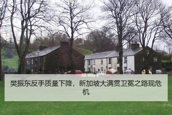 fan-zhen-dong-fan-shou-zhi-liang-xia-jiang-xin-jia-po-da-man-guan-wei-mian-zhi-lu-xian-wei-ji-3-492.jpg