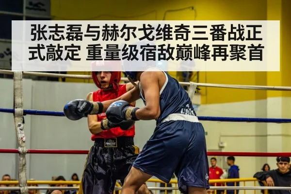 张志磊与赫尔戈维奇三番战正式敲定 重量级宿敌巅峰再聚首