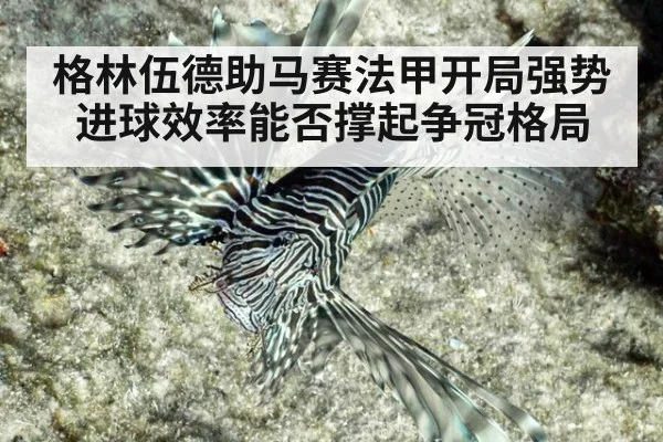 格林伍德助马赛法甲开局强势 进球效率能否撑起争冠格局