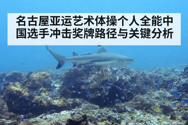 名古屋亚运艺术体操个人全能中国选手冲击奖牌路径与关键分析